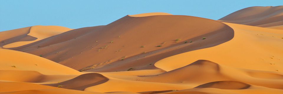 tours in morocco from casablanca, 10 days desert tour from casablanca, day trip from casablanca to marrakech, 14 days tour from casablanca, 7 days tour from casablanca to marrakech, casablanca morocco itinerary, private tours casablanca morocco, 7 days tour from casablanca, 8 days tour from casablanca, 12 days tour from casablanca, morocco tours from casablanca, 6 days tour from casablanca, morocco desert tours from casablanca, 5 days tour from casablanca, 10 days from casablanca, 9 days tour from casablanca, casablanca sightseeing, casablanca city tour, casablanca day tours, desert tours from casablanca