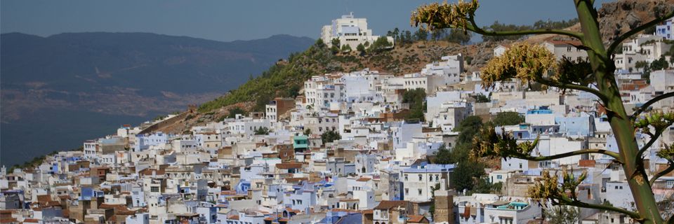 tours in morocco from casablanca, 10 days desert tour from casablanca, day trip from casablanca to marrakech, 14 days tour from casablanca, 7 days tour from casablanca to marrakech, casablanca morocco itinerary, private tours casablanca morocco, 7 days tour from casablanca, 8 days tour from casablanca, 12 days tour from casablanca, morocco tours from casablanca, 6 days tour from casablanca, morocco desert tours from casablanca, 5 days tour from casablanca, 10 days from casablanca, 9 days tour from casablanca, casablanca sightseeing, casablanca city tour, casablanca day tours, desert tours from casablanca