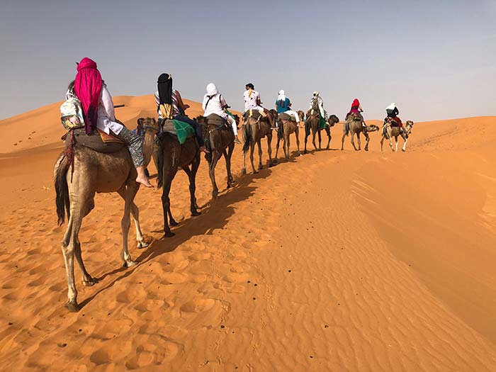 tours in morocco from casablanca, 10 days desert tour from casablanca, day trip from casablanca to marrakech, 14 days tour from casablanca, 7 days tour from casablanca to marrakech, casablanca morocco itinerary, private tours casablanca morocco, 7 days tour from casablanca, 8 days tour from casablanca, 12 days tour from casablanca, morocco tours from casablanca, 6 days tour from casablanca, morocco desert tours from casablanca, 5 days tour from casablanca, 10 days from casablanca, 9 days tour from casablanca, casablanca sightseeing, casablanca city tour, casablanca day tours, desert tours from casablanca